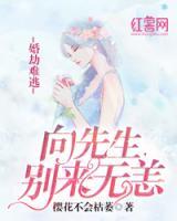 婚劫难逃：向先生，别来无恙