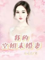 我的空姐未婚妻