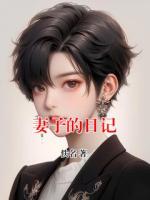妻子的日记