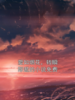 爱如烟花，转瞬即逝的小说免费