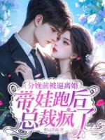 分娩前被逼离婚，带娃跑后总裁疯了