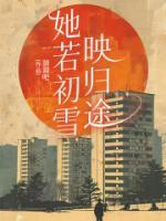 她若初雪映归途