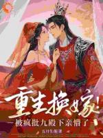 殿下别高冷！我来替你夺江山