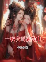 一夜吹雪满关山