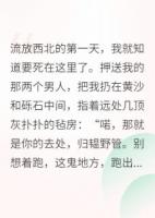 流放后，我靠美食成了西北女王