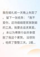 婚礼前夜我消失了七十二小时