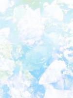 三万块的卖命钱