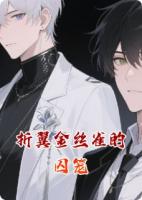 折翼金丝雀的囚笼