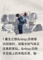 沈先生的二次心动