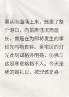 港口迷雾：豪门遗产局中局