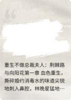 荆棘路与向阳花