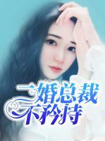 二婚总裁不矜持