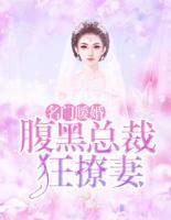 名门暖婚：腹黑总裁狂撩妻