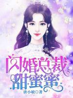 闪婚总裁甜蜜蜜