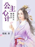 替身宫女倾后宫：公主心计