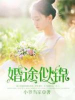 婚途似锦